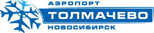 Открытая мастер-лекция «Инфраструктура воздействия на региональный туризм: возможности хаба Толмачево»